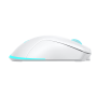 Baracuda MIŠ BGM-122 TURTLE BIJELI / 3200 dpi/ Wireless