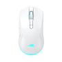 Baracuda MIŠ BGM-122 TURTLE BIJELI / 3200 dpi/ Wireless