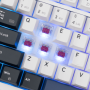 White Shark PL TASTATURA GK-007251 EXCALIBUR Bijela / US