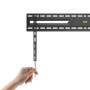 SBOX STALAK Budget BL-3869F (50-100"/75kg/900x600)