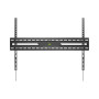 SBOX STALAK Budget BL-3869F (50-100"/75kg/900x600)