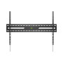 SBOX STALAK Budget BL-3869F (50-100"/75kg/900x600)