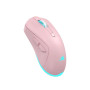 Baracuda MIŠ BGM-124 TURTLE ROZA / 3200 dpi / Wireless