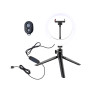 White Shark RING LED SVJETLO RL-08 MOONLIGHT-2 21cm