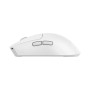 Baracuda MIŠ BGM-132 MORAY Bijeli / 3200 dpi/ Wireless