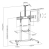 SBOX Podni stalak FS-3610 (60-100"/100kg/1000x600)