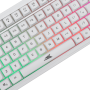 Baracuda TASTATURA+MIŠ BGC-012 ORCA Bijela - Combo