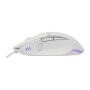 Baracuda MIŠ BGM-052 RAPTOR BIJELI / 6400 dpi